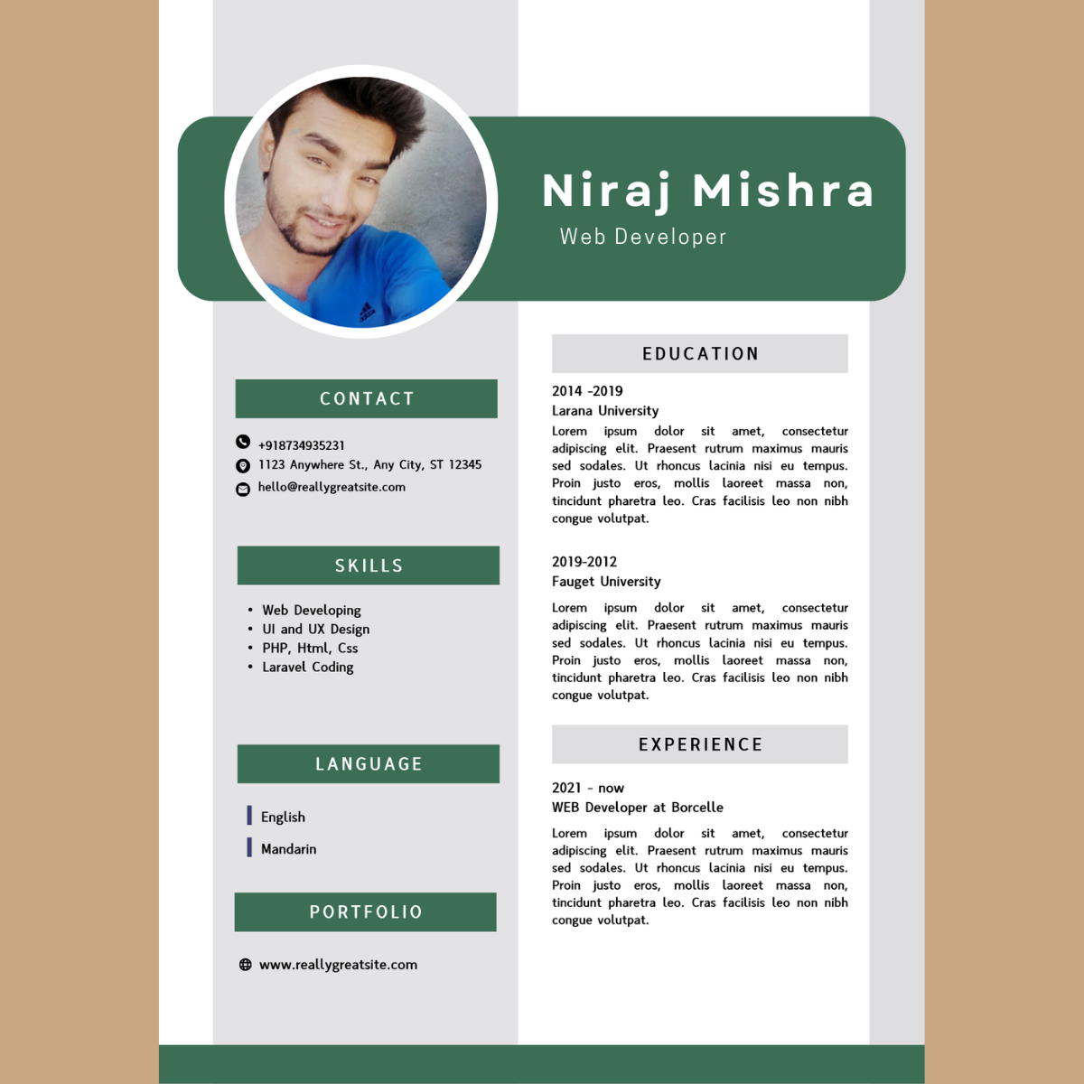 Basic Resume Template for Canva – clean, professional, and easy-to-edit resume design perfect for students, freshers, and job seekers to create a modern CV.